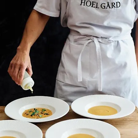 Hoel Gard - Herregarden Ved Mjosa *