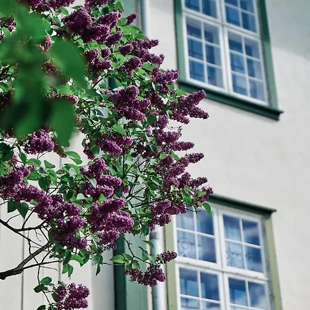Hoel Gard - Herregarden Ved Mjosa Hotel *