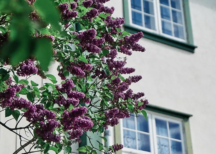 Hoel Gard - Herregarden Ved Mjosa Hotel *