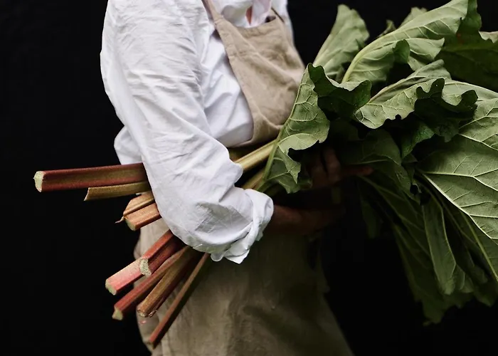 Отель Hoel Gard - Herregarden Ved Mjosa